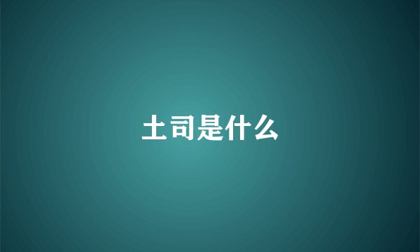 土司是什么
