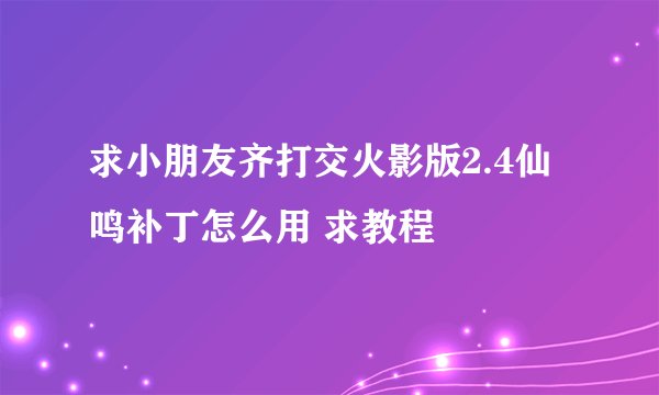 求小朋友齐打交火影版2.4仙鸣补丁怎么用 求教程