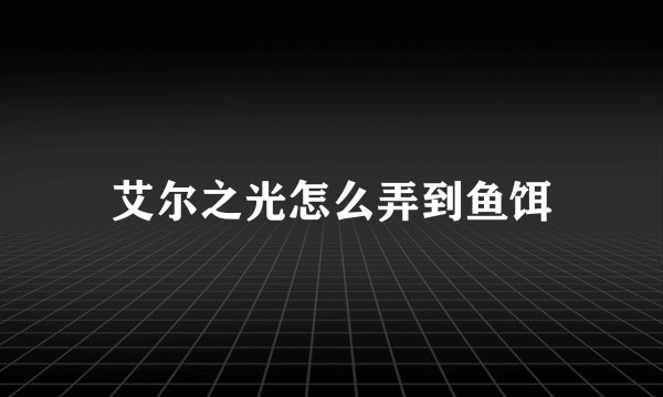 艾尔之光怎么弄到鱼饵
