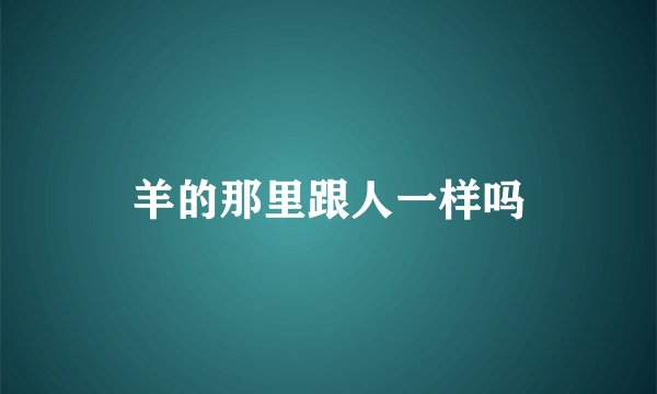 羊的那里跟人一样吗