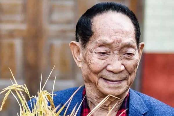 中国杂交水稻之父袁隆平，他在国际上的名声和地位如何？