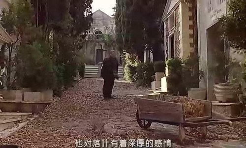 僵尸坟场的介绍