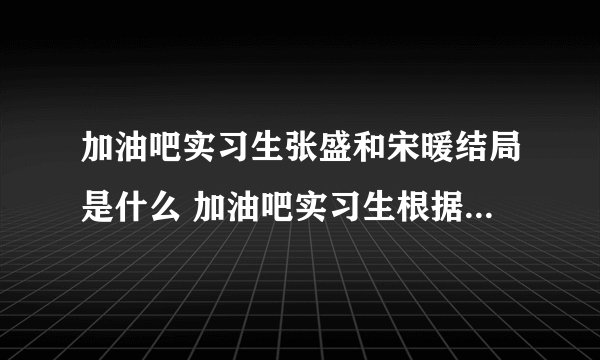 加油吧实习生张盛和宋暖结局是什么 加油吧实习生根据哪部小说改编的