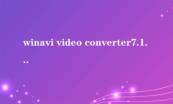 winavi video converter7.1和winavi mp4 converter注册码