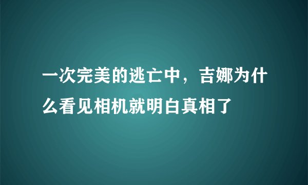 一次完美的逃亡中，吉娜为什么看见相机就明白真相了