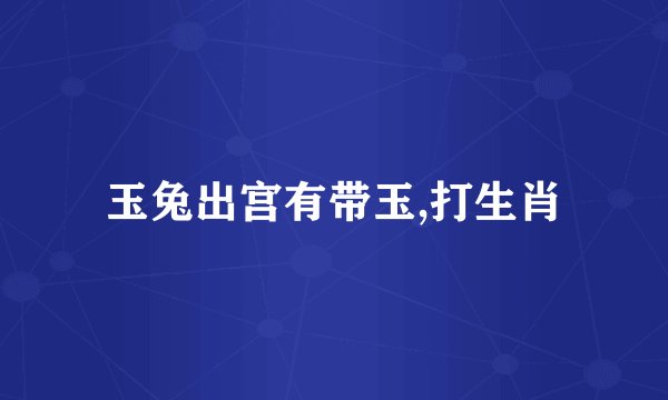 玉兔出宫有带玉,打生肖