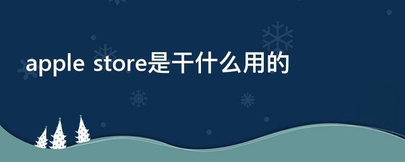 apple store是干什么用的