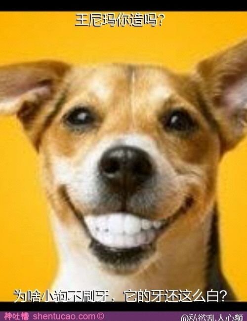 古剑奇谭瑾娘那晚为什么会吓到华裳