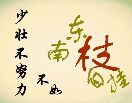 自挂东南枝的歌词出处·版本一