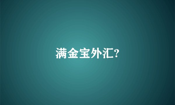 满金宝外汇?