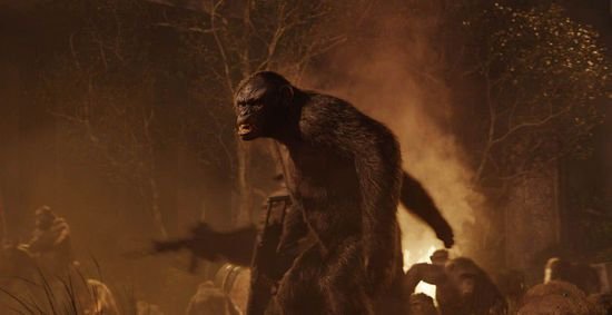 人猿大战的介绍