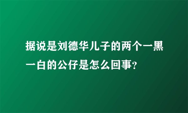 据说是刘德华儿子的两个一黑一白的公仔是怎么回事？