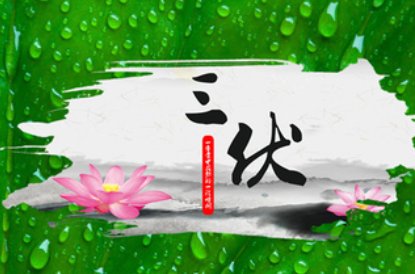 入伏几天一个伏