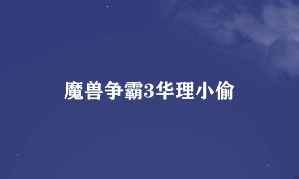 魔兽争霸3华理小偷