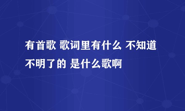 有首歌 歌词里有什么 不知道不明了的 是什么歌啊