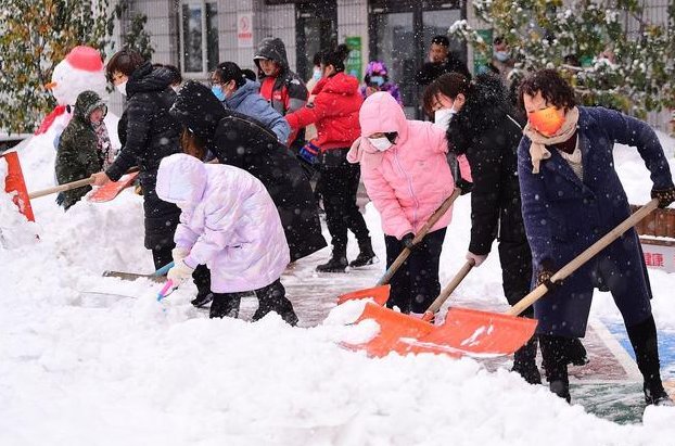 12月15日会停课吗
