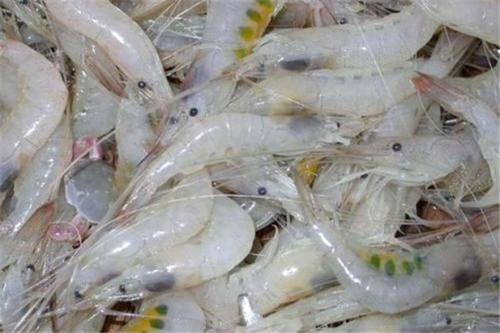 贵州都匀提示不要网购食品，你觉得原因是什么？