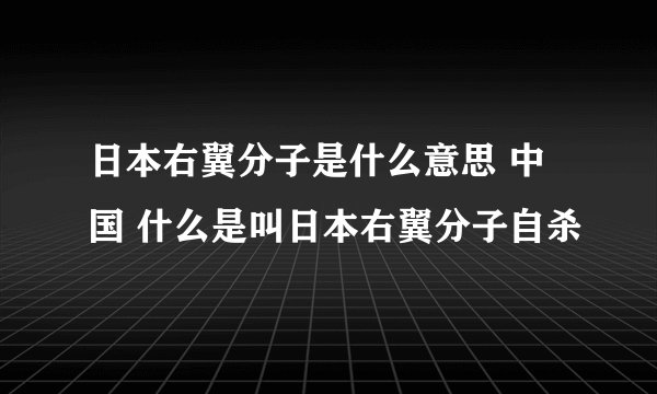 日本右翼分子是什么意思 中国 什么是叫日本右翼分子自杀