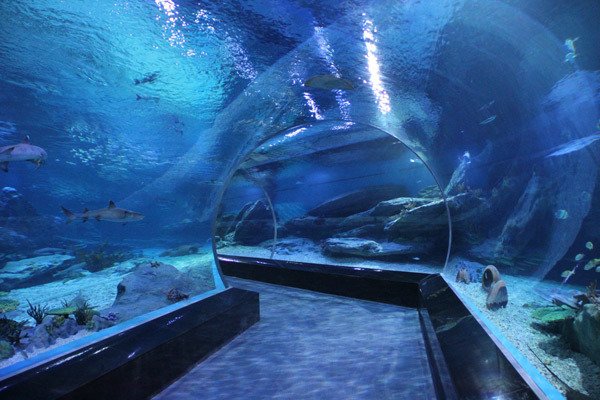 青岛有几个海底世界，那个好玩