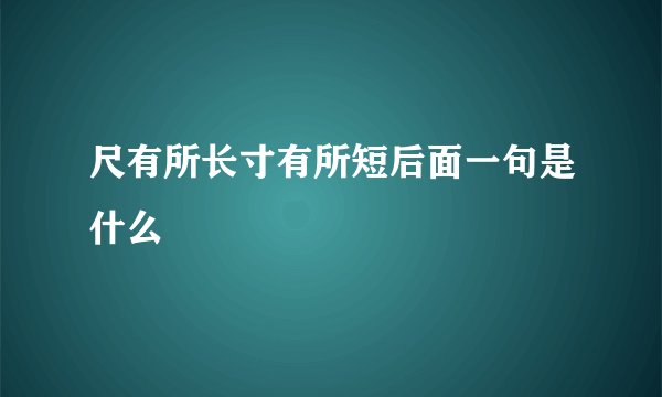 尺有所长寸有所短后面一句是什么