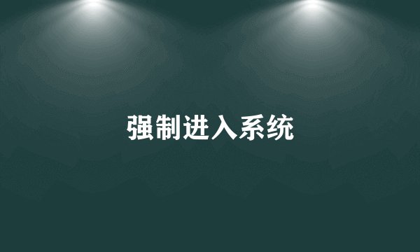 强制进入系统