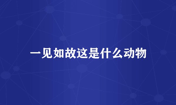 一见如故这是什么动物