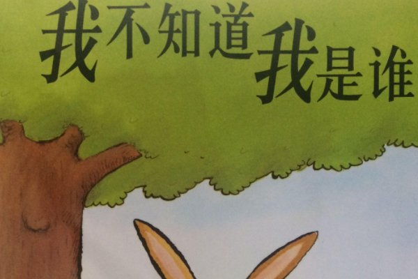 我是谁不重要下一句是什么