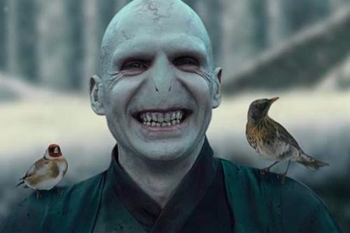 伏地魔为什么没有鼻子？