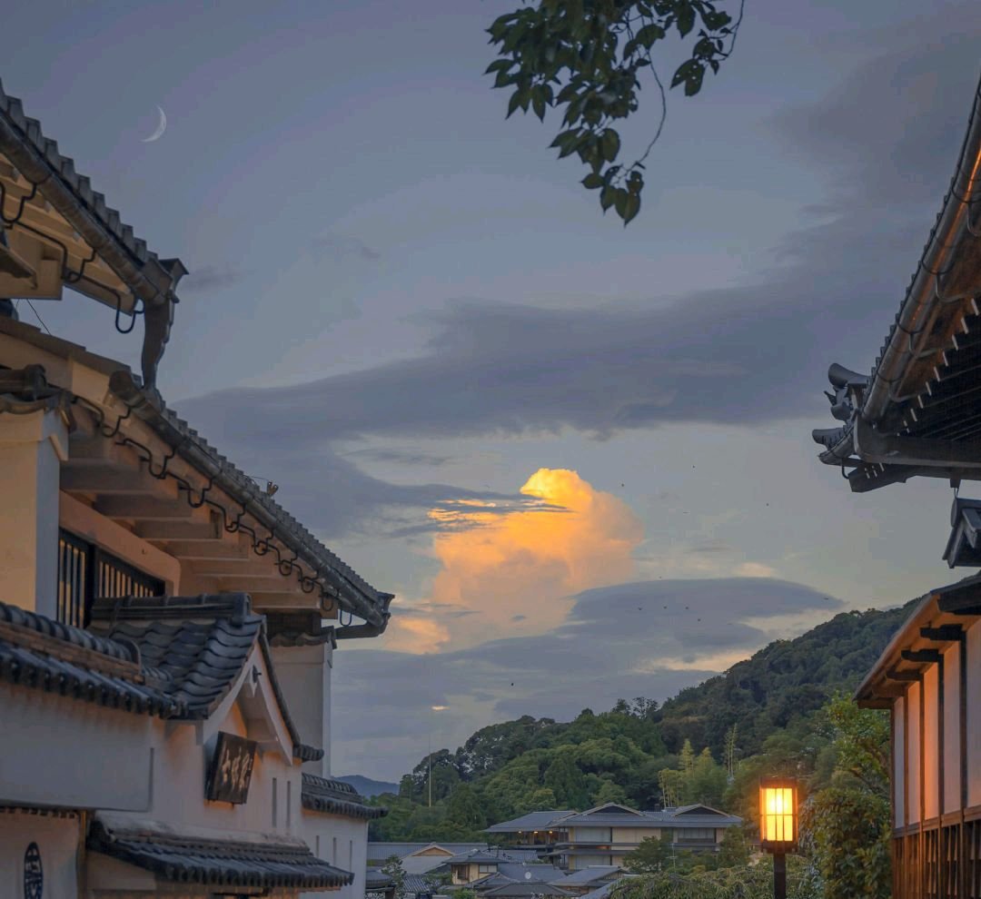 在大学宿舍有必要买床帘吗？