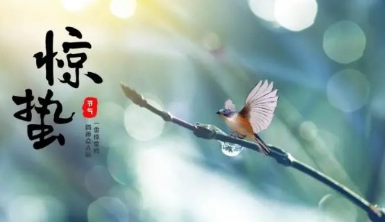 “春雷响，万物生”下句是什么？