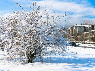 御寒又节能，东京政府鼓励民众穿高领毛衣，今年冬天到底应该怎么过呢？