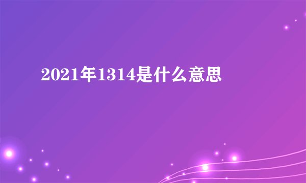 2021年1314是什么意思