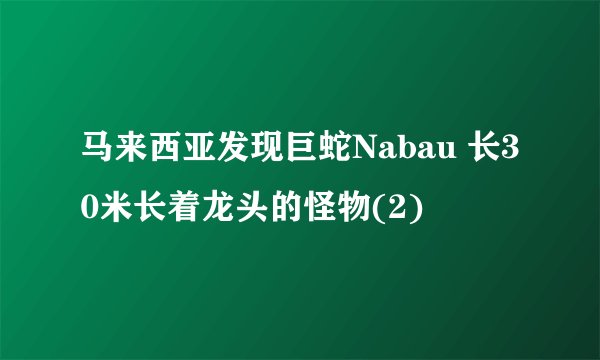 马来西亚发现巨蛇Nabau 长30米长着龙头的怪物(2)
