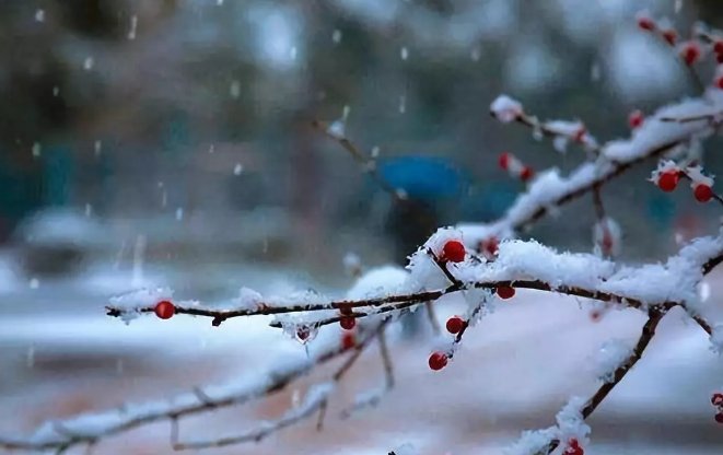 三九天从什么时候开始