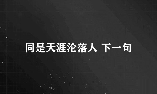 同是天涯沦落人 下一句