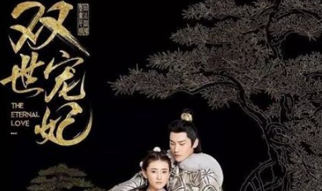 穿越的电视剧都有哪些？