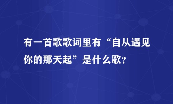 有一首歌歌词里有“自从遇见你的那天起”是什么歌？