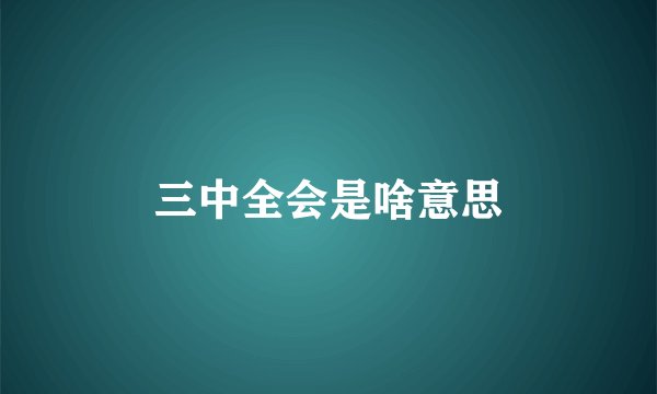 三中全会是啥意思