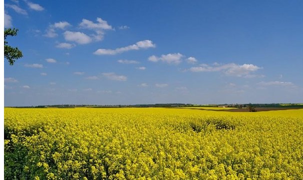 不负时光不负你全句是什么？