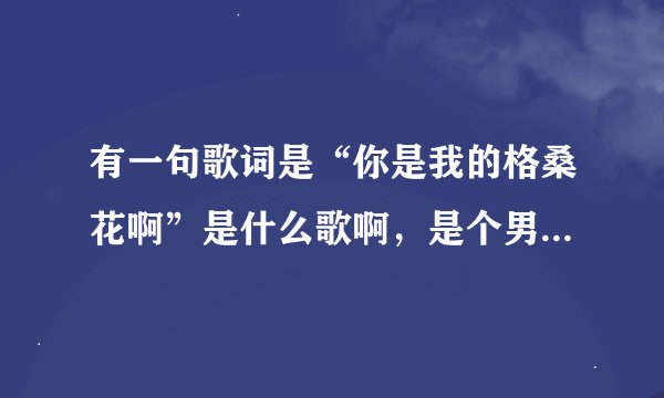 有一句歌词是“你是我的格桑花啊”是什么歌啊，是个男的唱的，