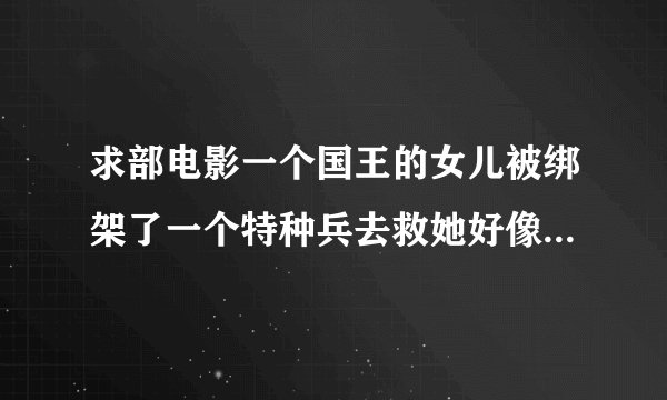 求部电影一个国王的女儿被绑架了一个特种兵去救她好像叫什么公主复仇记是欧美的不是香港的