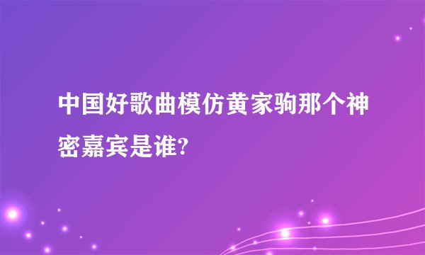 中国好歌曲模仿黄家驹那个神密嘉宾是谁?