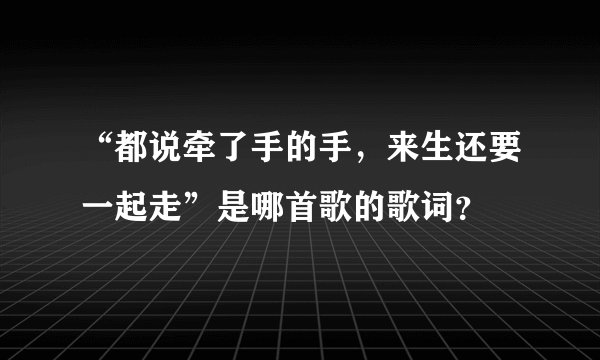 “都说牵了手的手，来生还要一起走”是哪首歌的歌词？