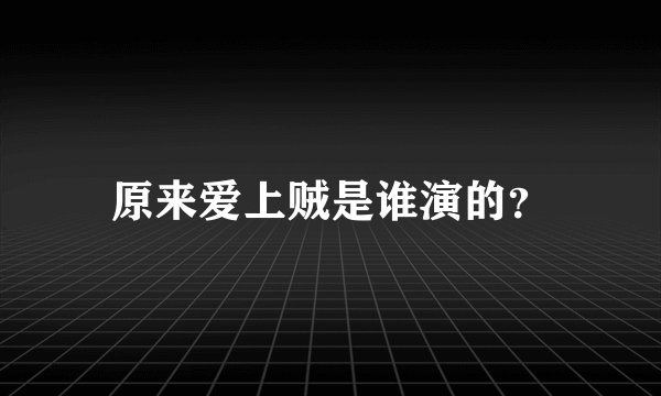 原来爱上贼是谁演的？