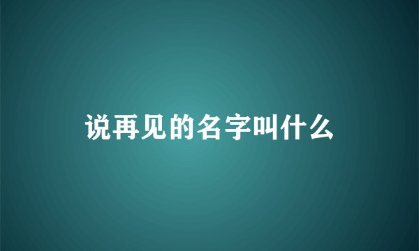说再见的名字叫什么