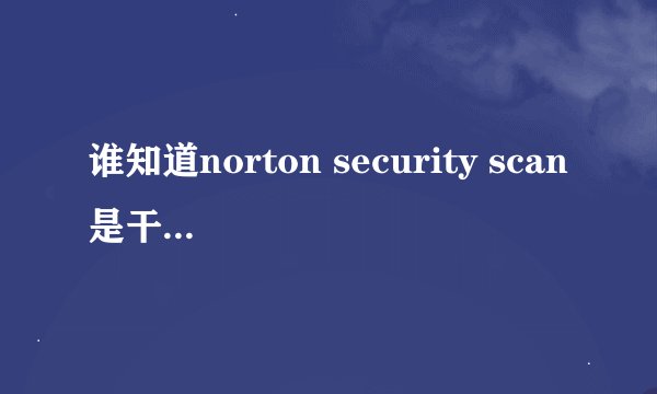 谁知道norton security scan是干什么的?