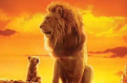 2022北美票房排行榜