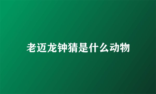 老迈龙钟猜是什么动物