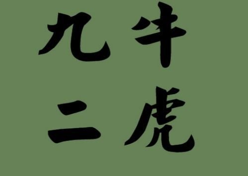 九的成语大全