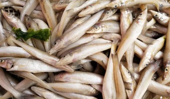 海鲜鱼类的肉是不是都很咸